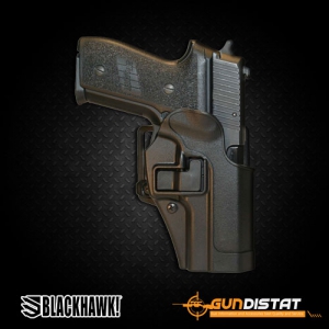 BLACKHAWK SIG228/229/250DC W