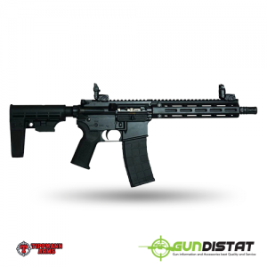 M4-22 Pro Pistol with Arm